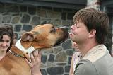 ADULTE ET CHIEN 411